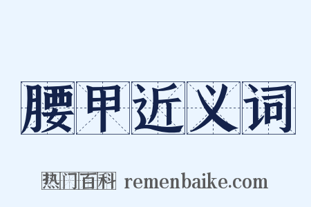 腰甲近义词是什么意思的图片